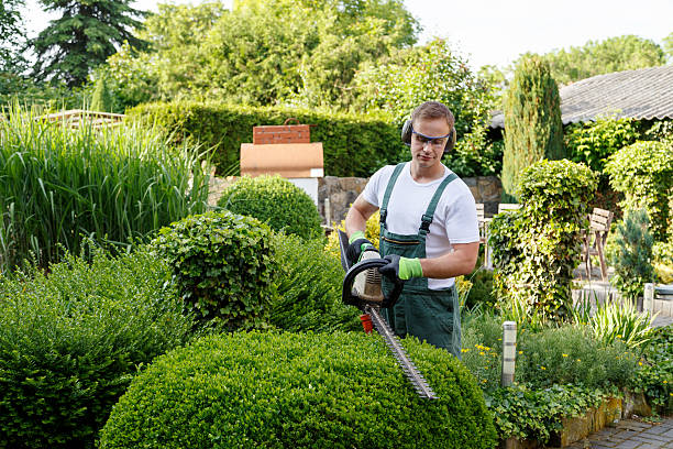 Best Lawn Watering Services  in Tellico Village, TN